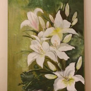 Baltās Lilijas